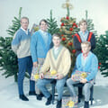 Beach Boys, The Beach Boys, The